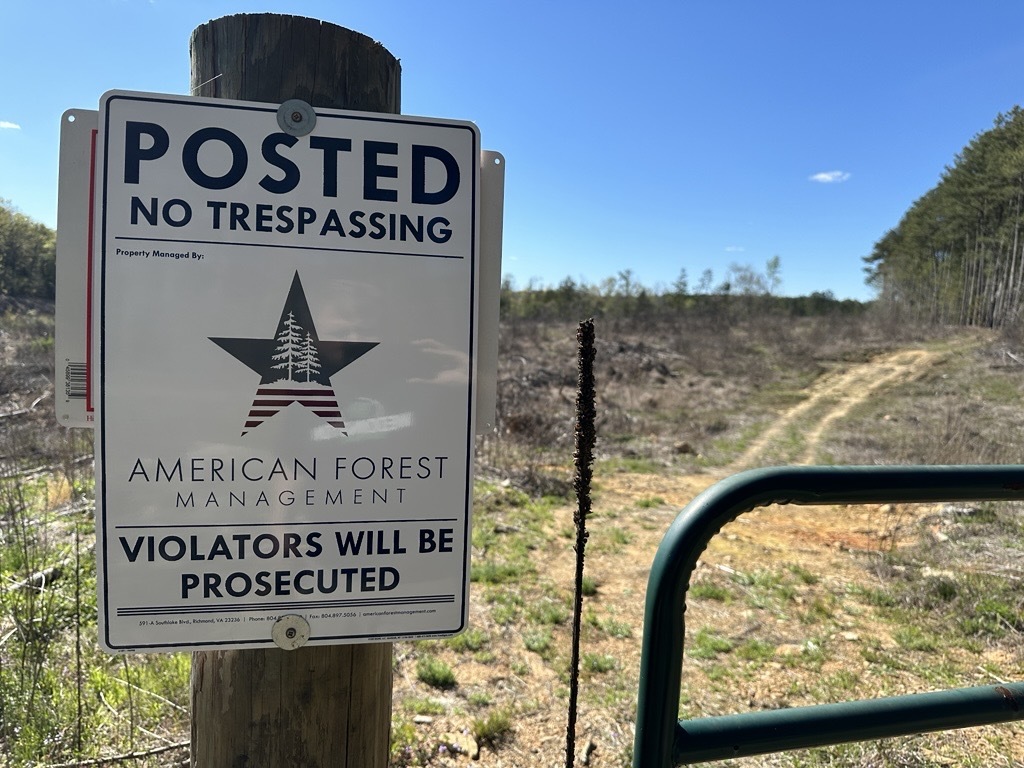 Boundary Lines on Property