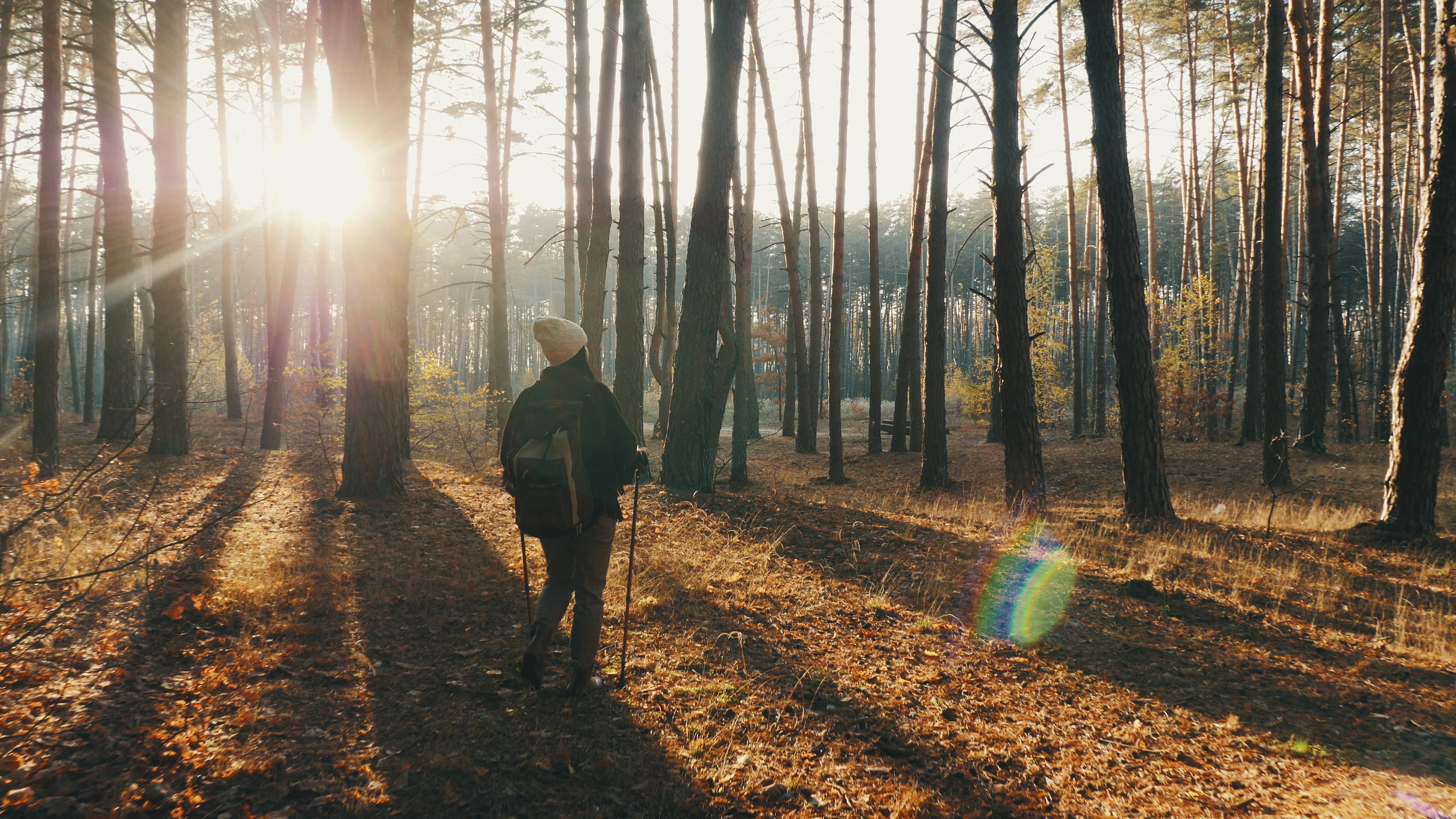 Forest Inventory
