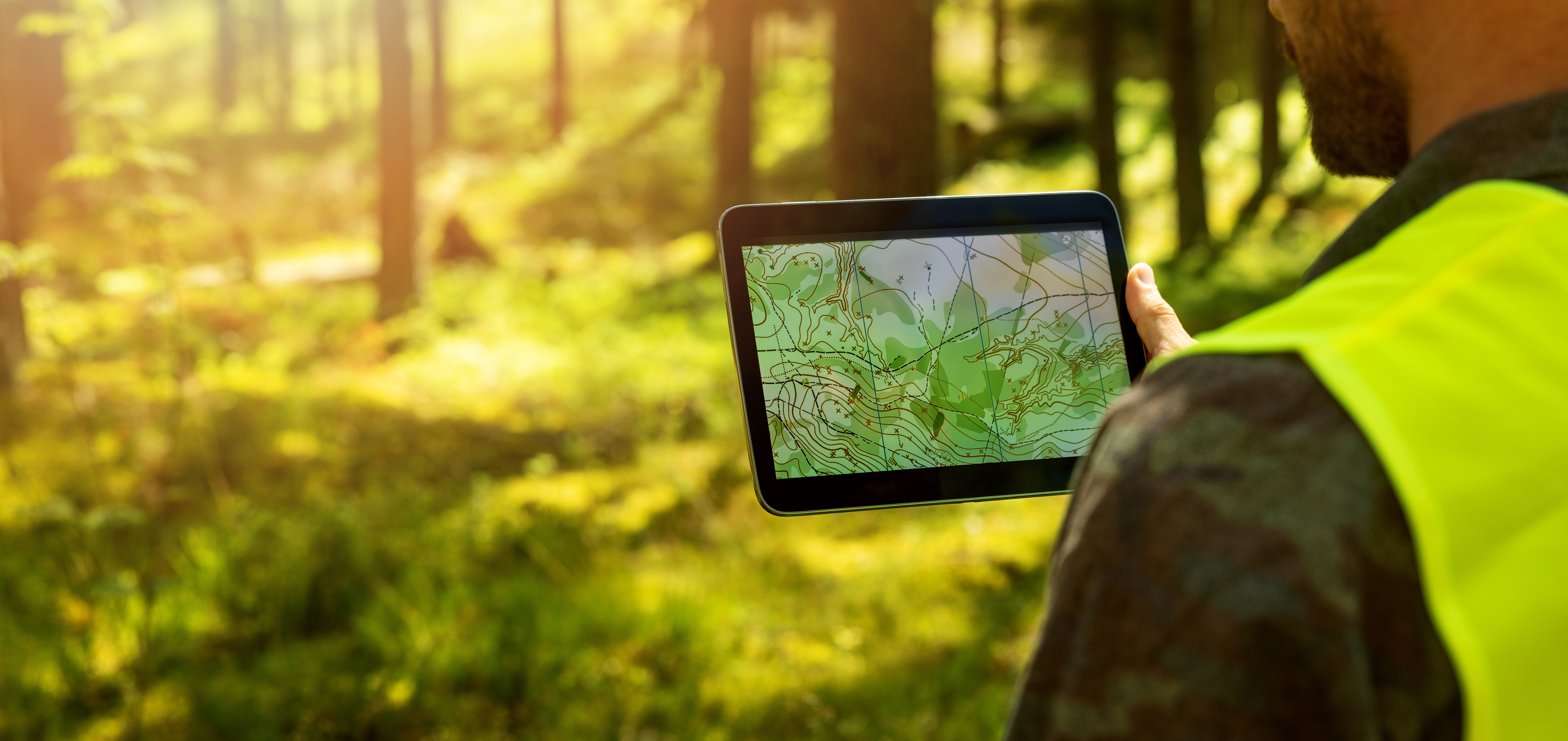 Mapping & GIS Analytics