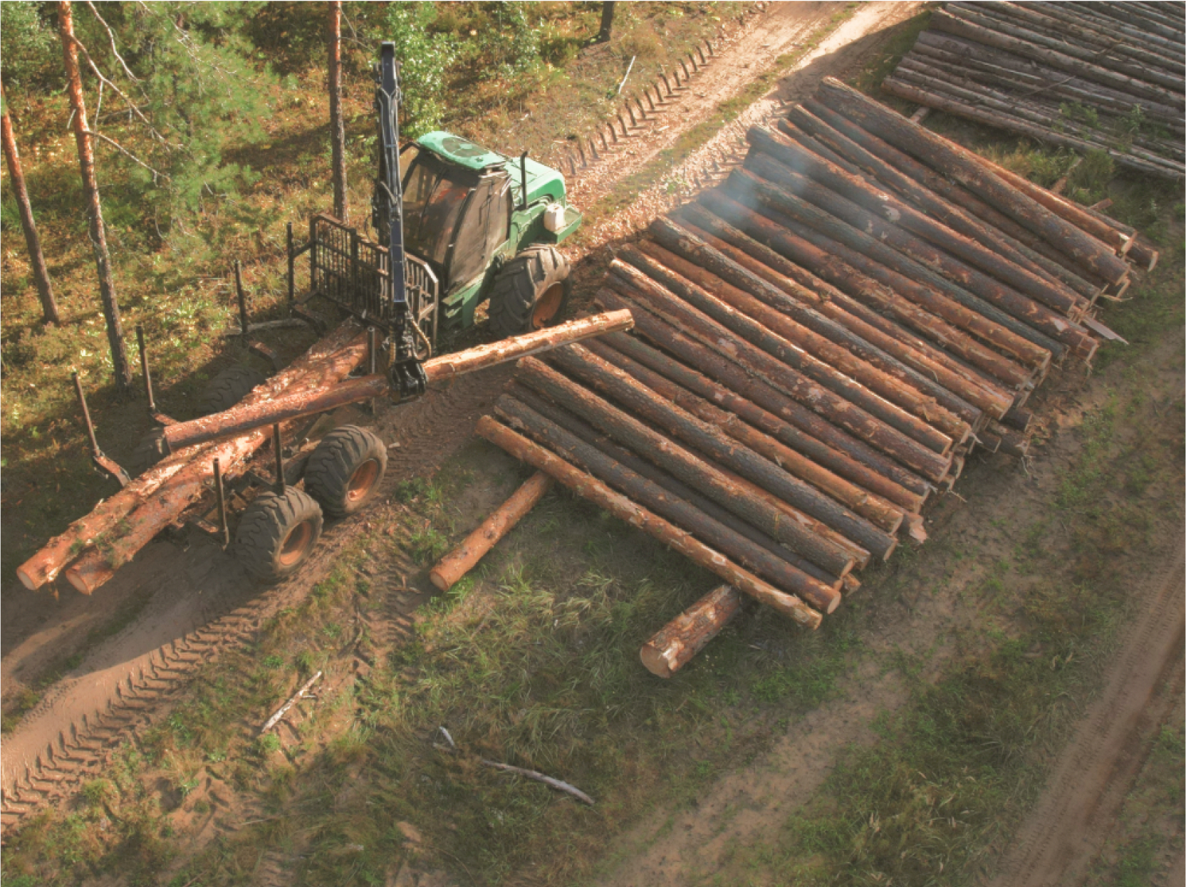 Timber Sales