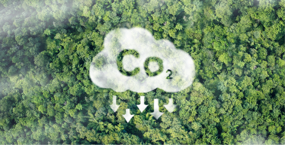 Carbon