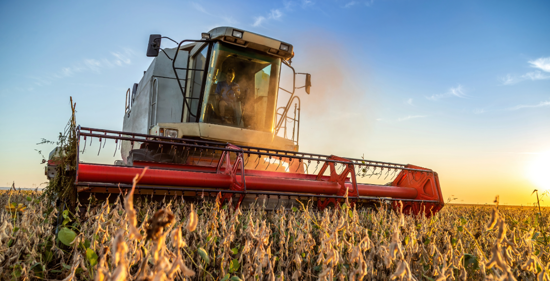 Commoditycrops