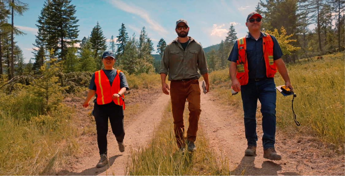 Forestmanagement
