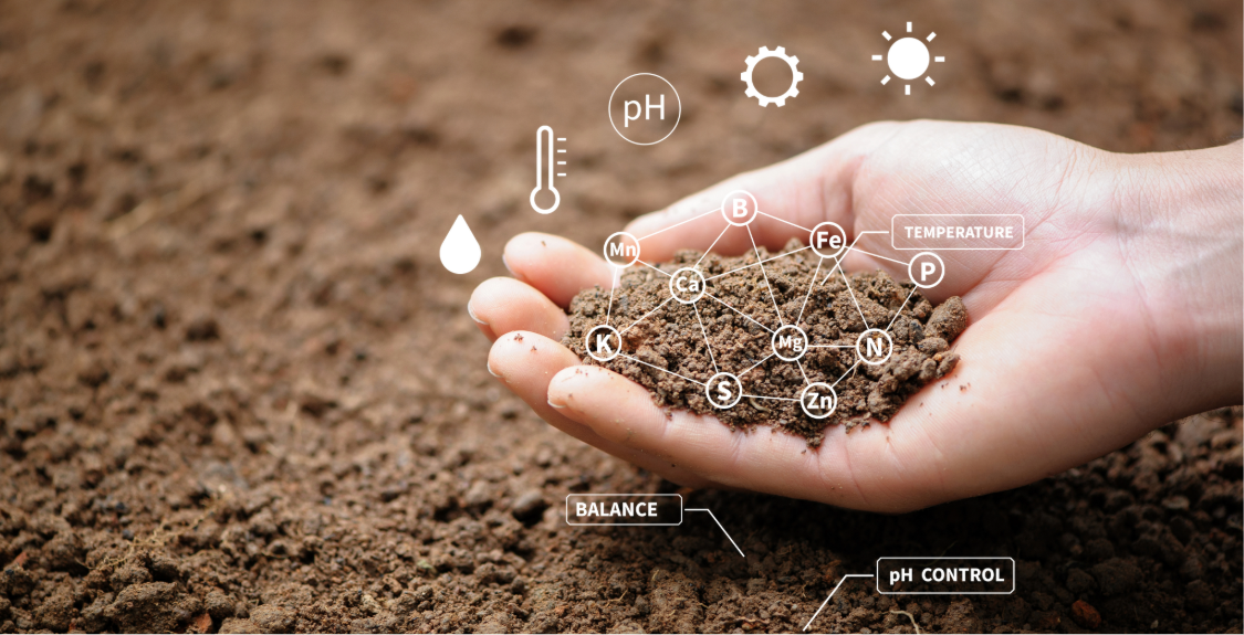 Soilsample