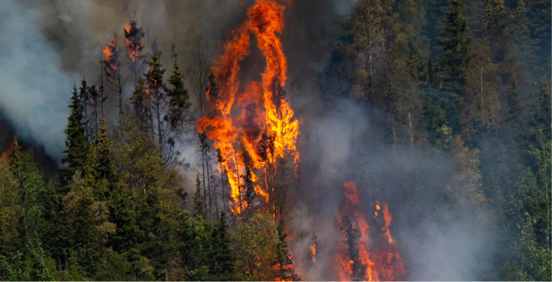 Wildfireprevention