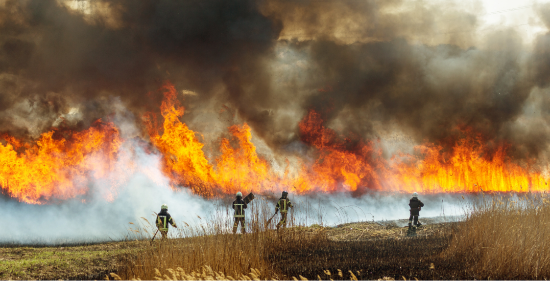 Wildlandfire