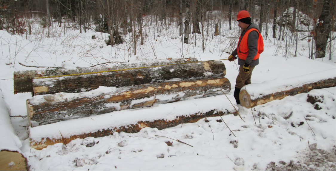 Winterlogging