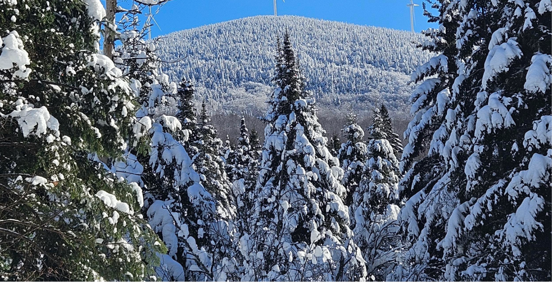 Wintermanagement