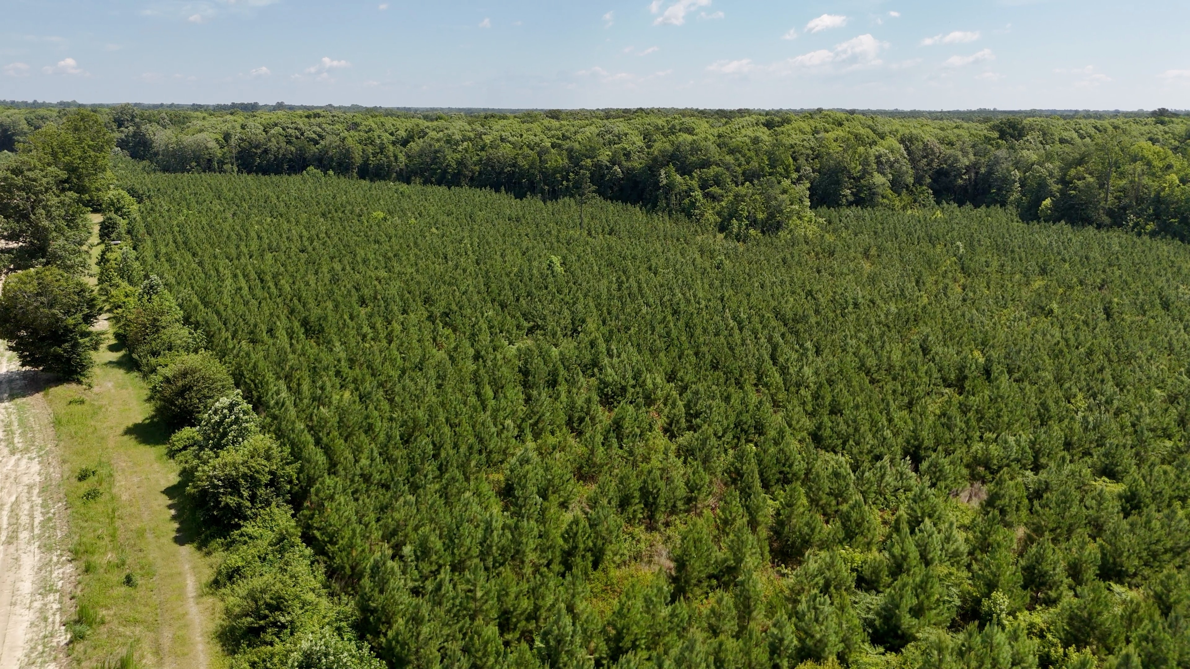 Two Colonies Timberlands