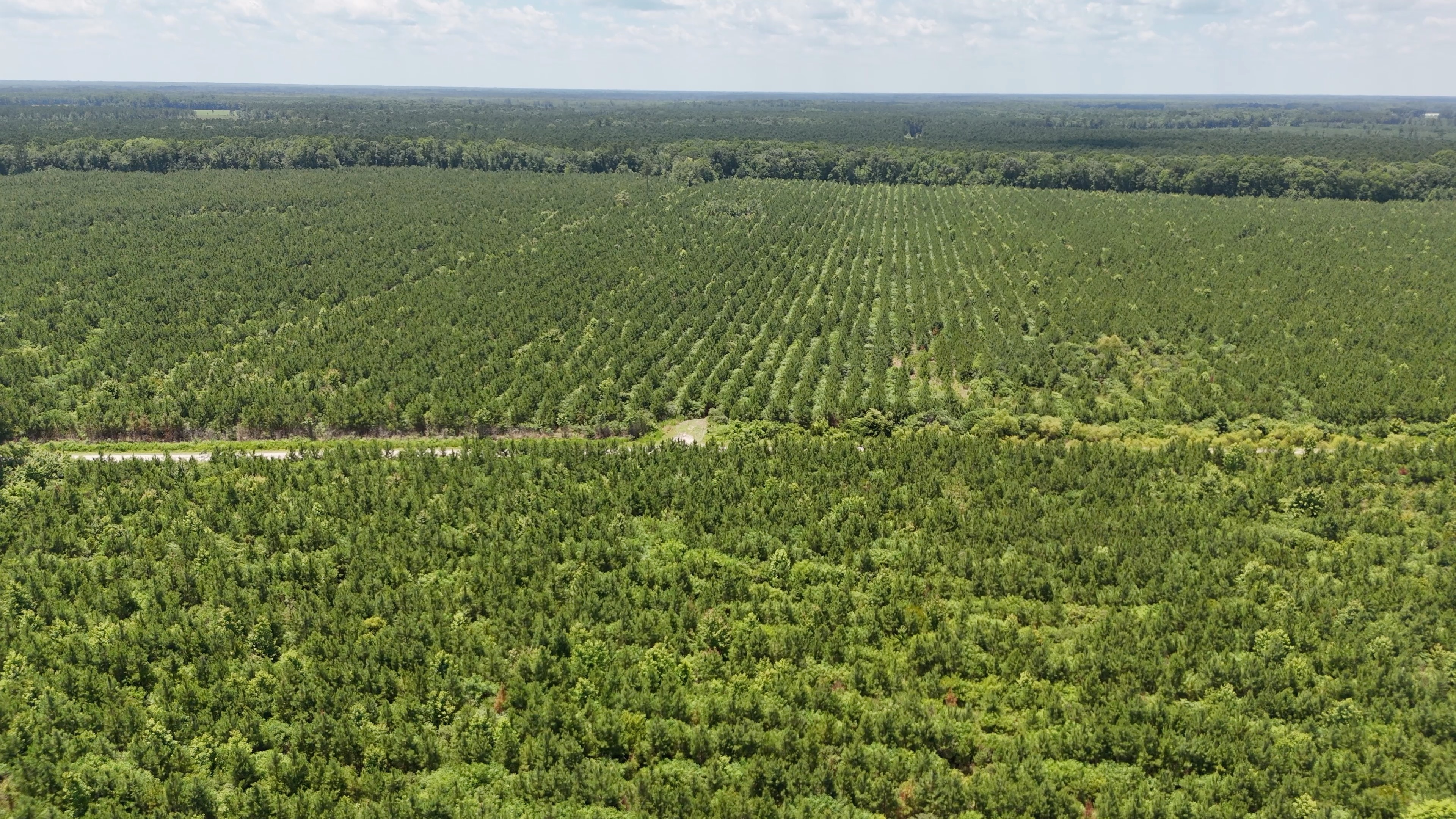 Two Colonies Timberlands