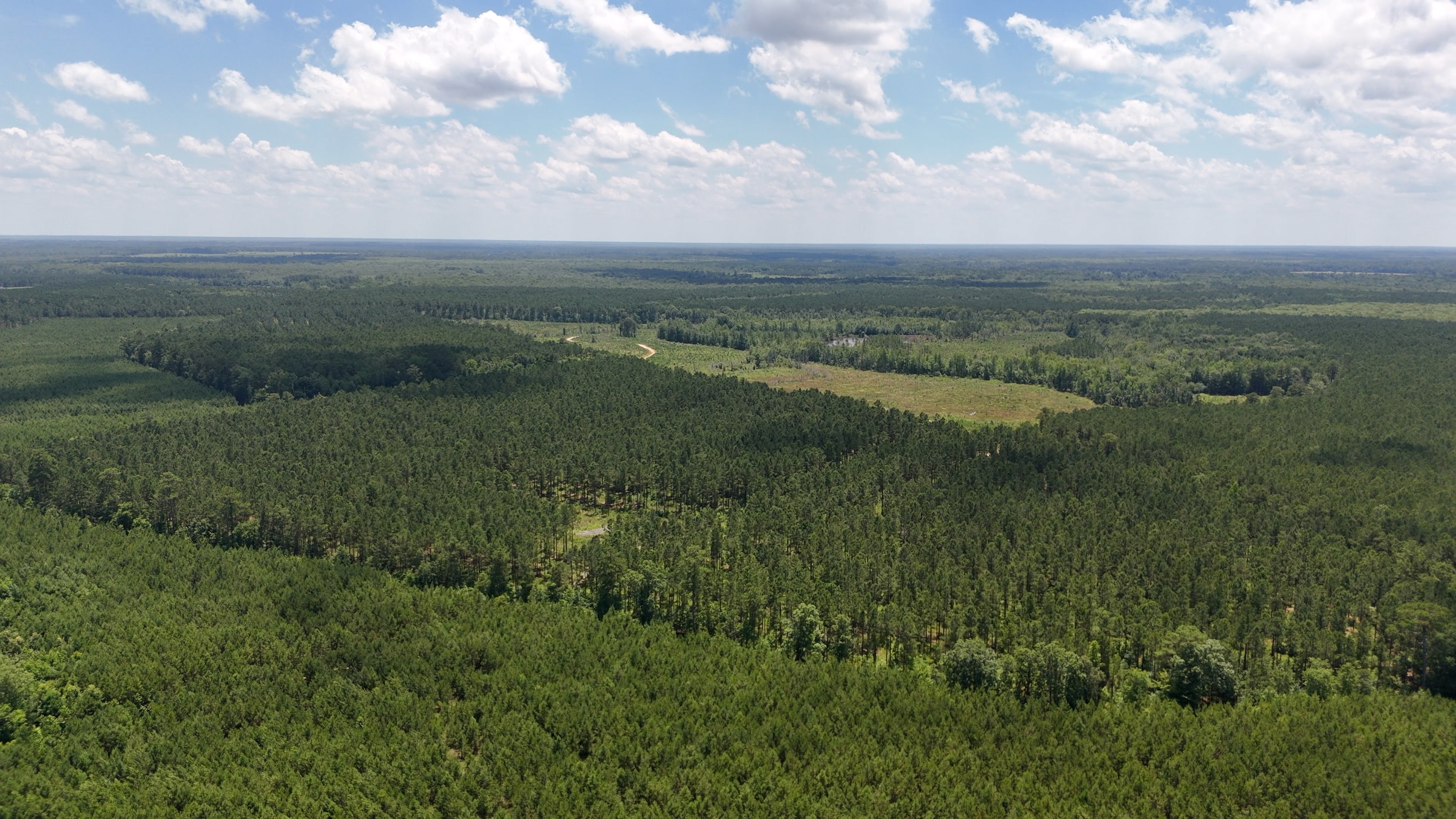 Two Colonies Timberlands