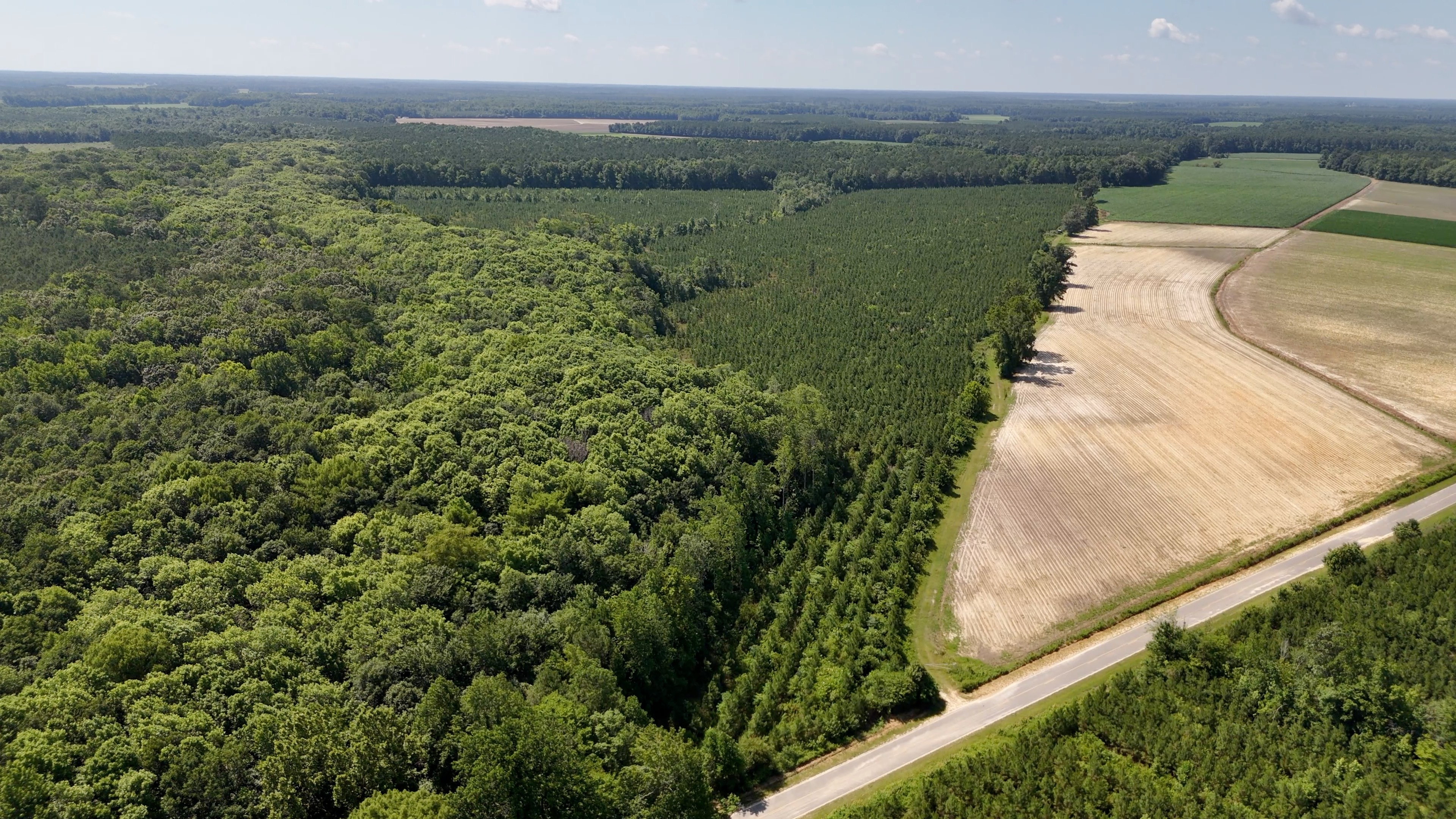 Two Colonies Timberlands