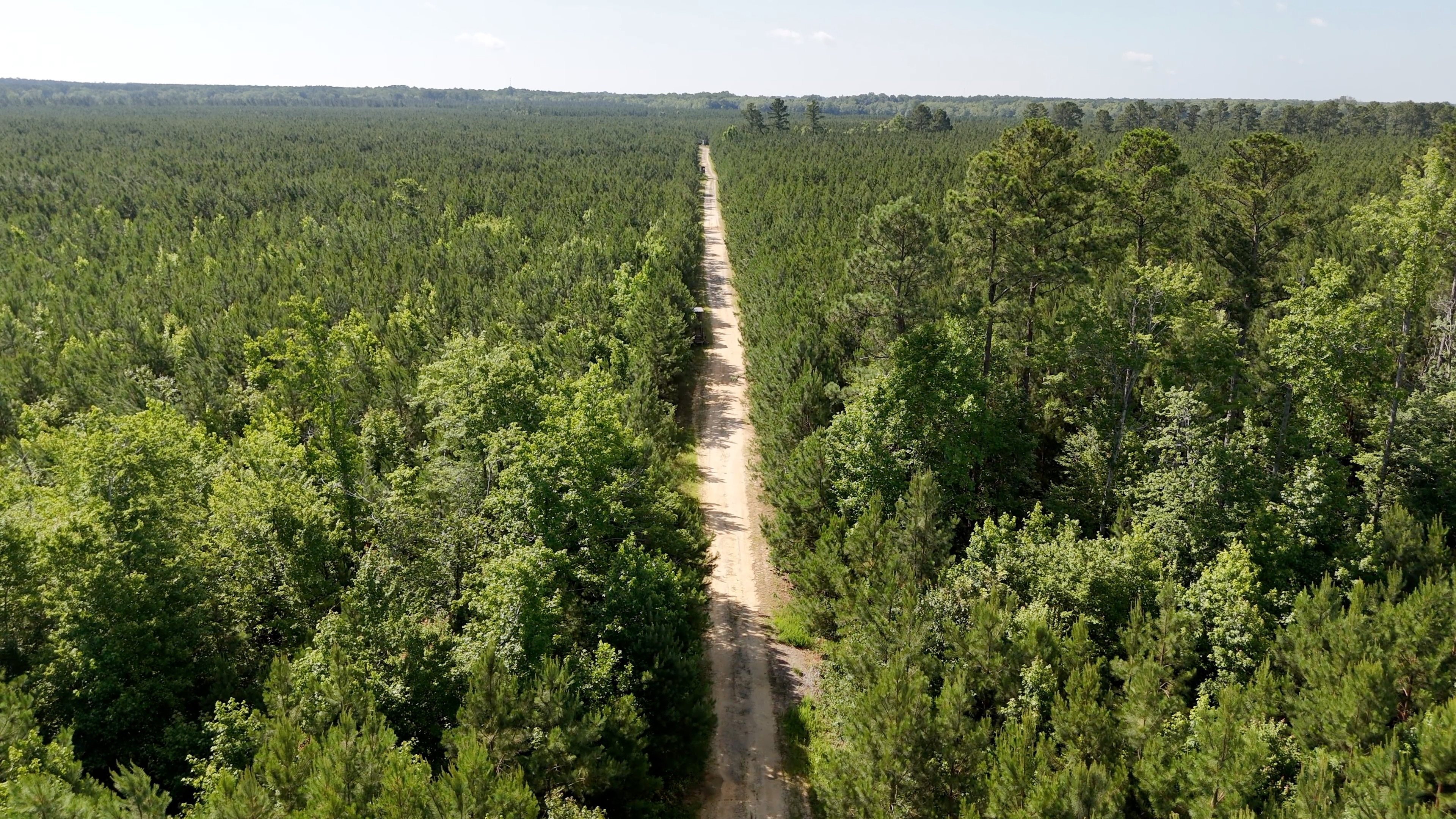 Two Colonies Timberlands