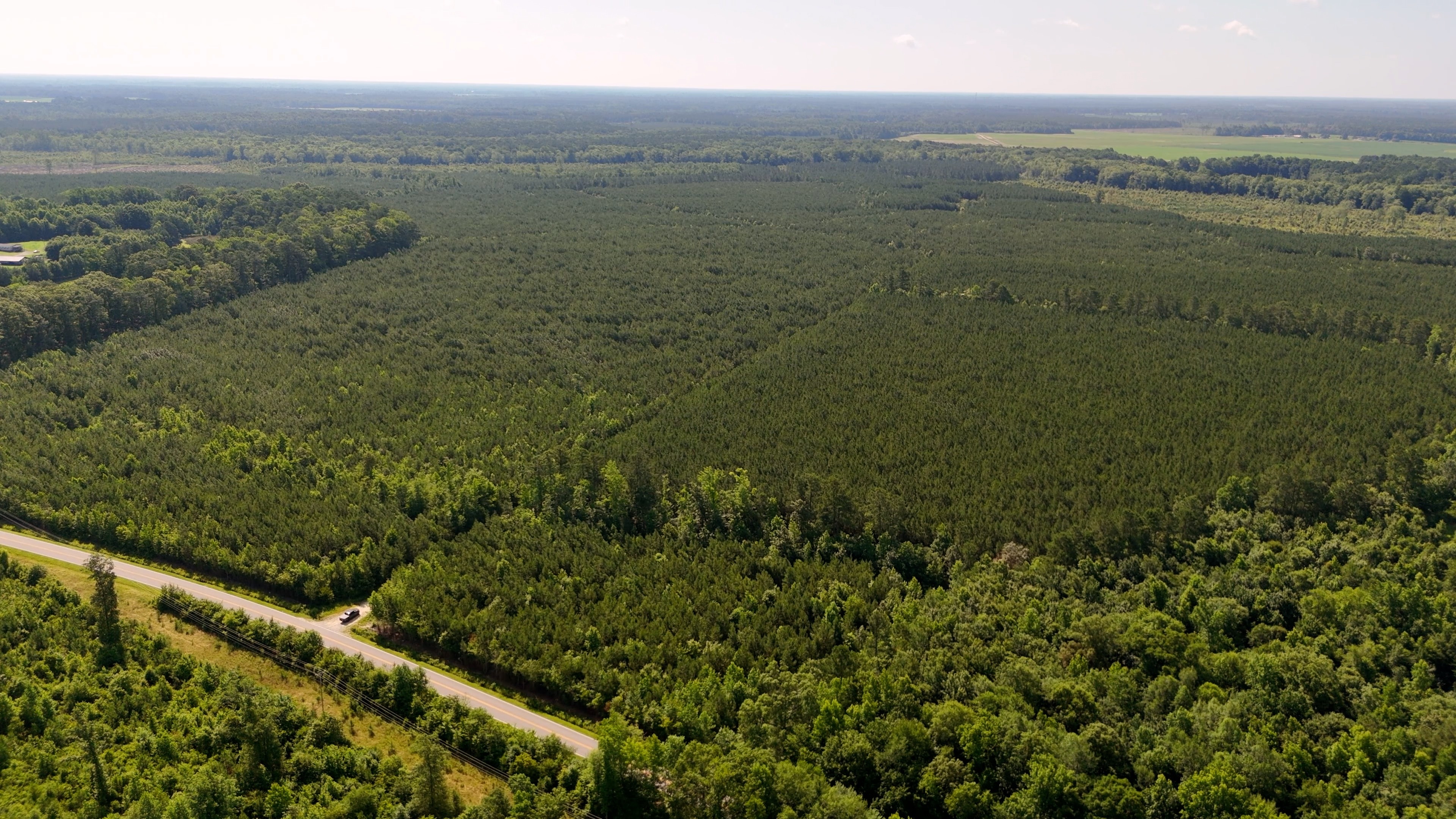 Two Colonies Timberlands