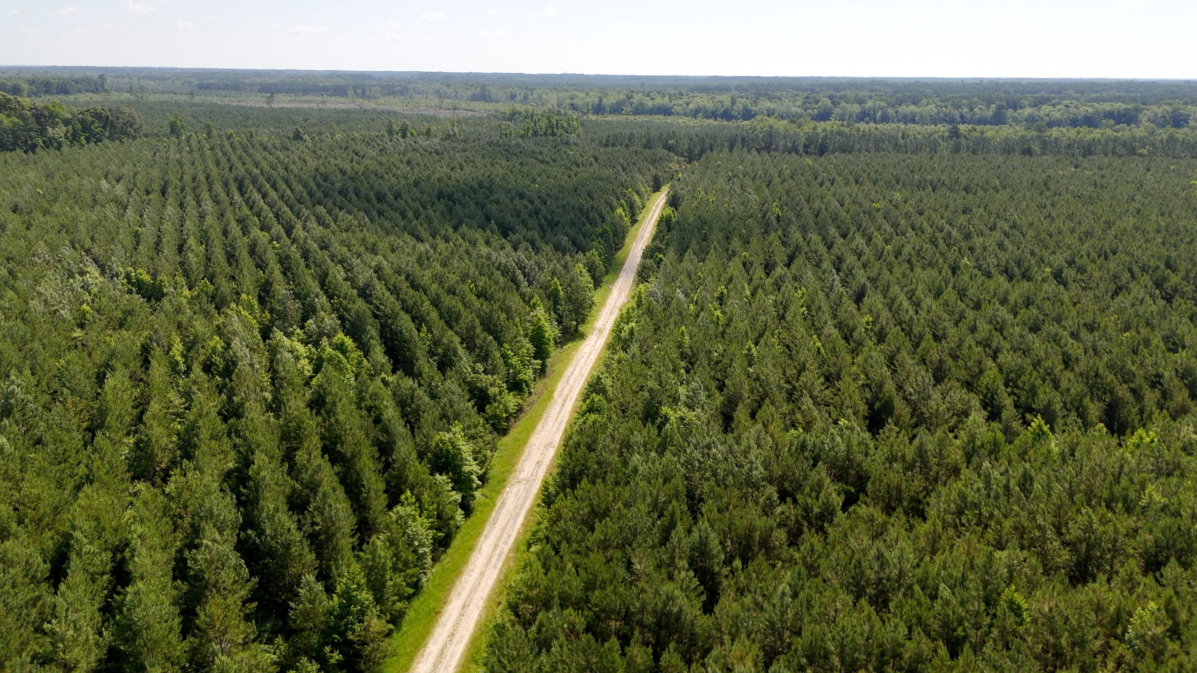 Two Colonies Timberlands