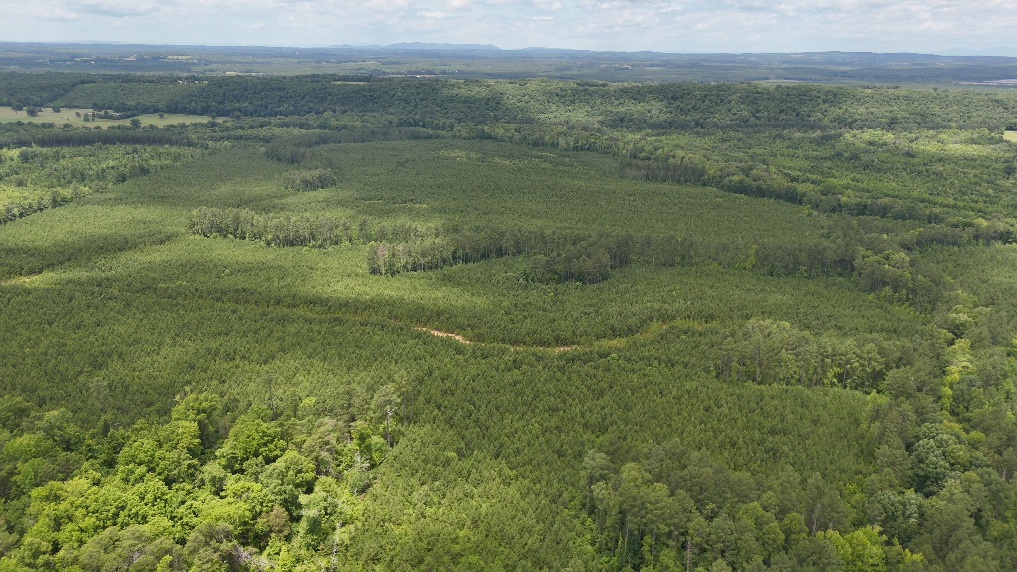 Two Colonies Timberlands