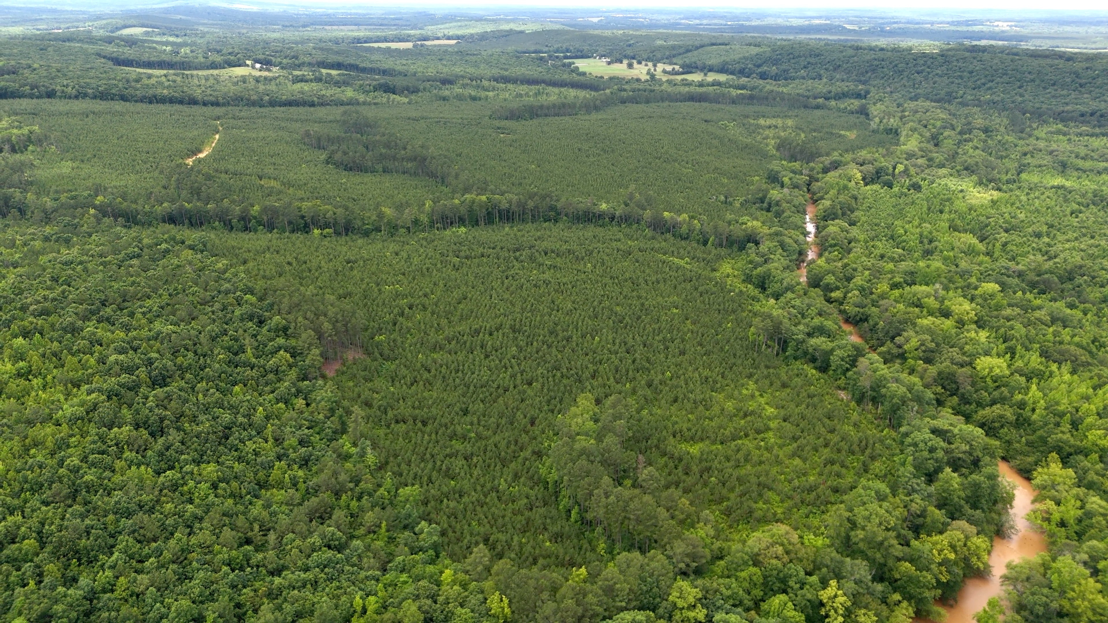 Two Colonies Timberlands
