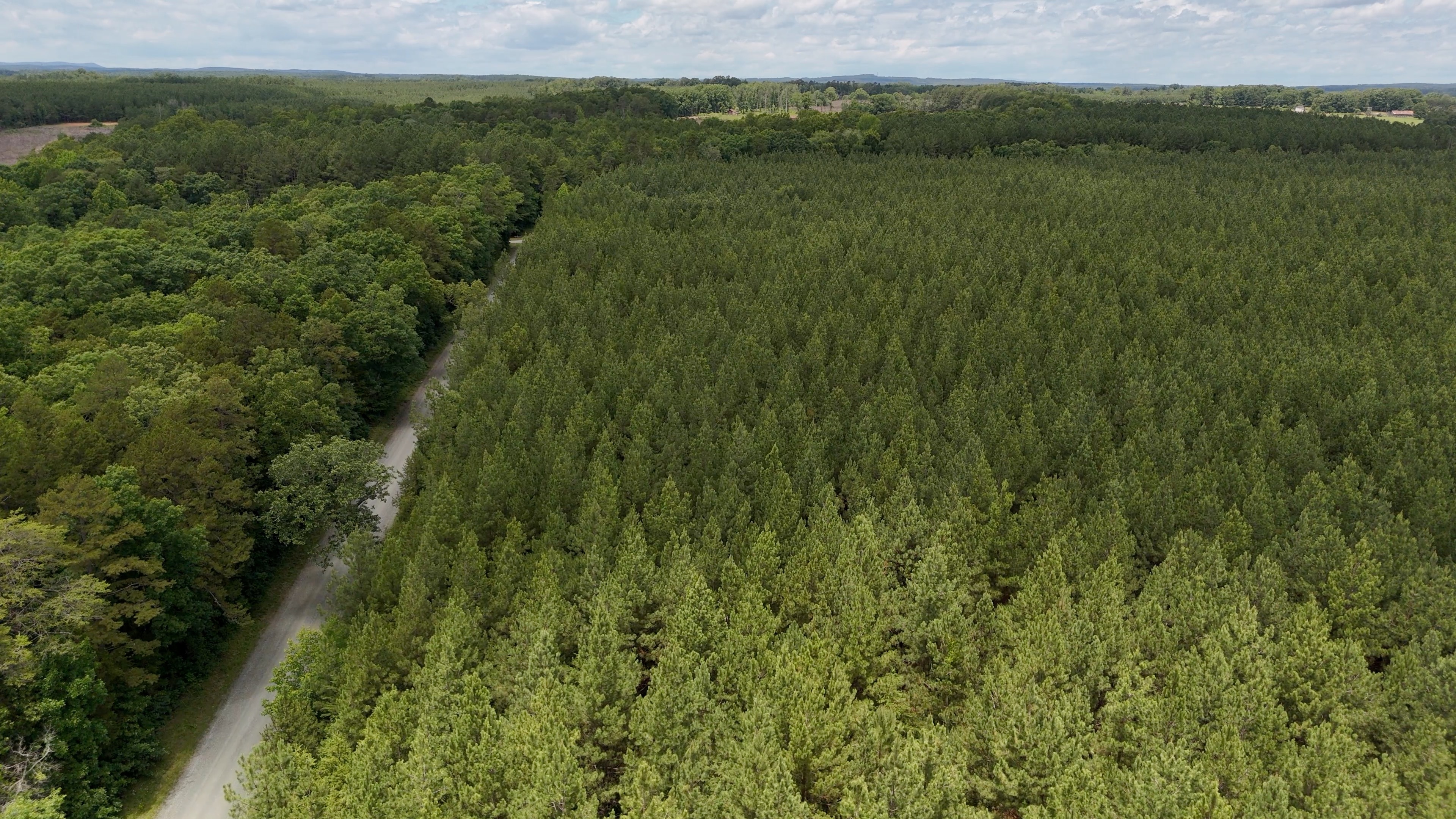Two Colonies Timberlands