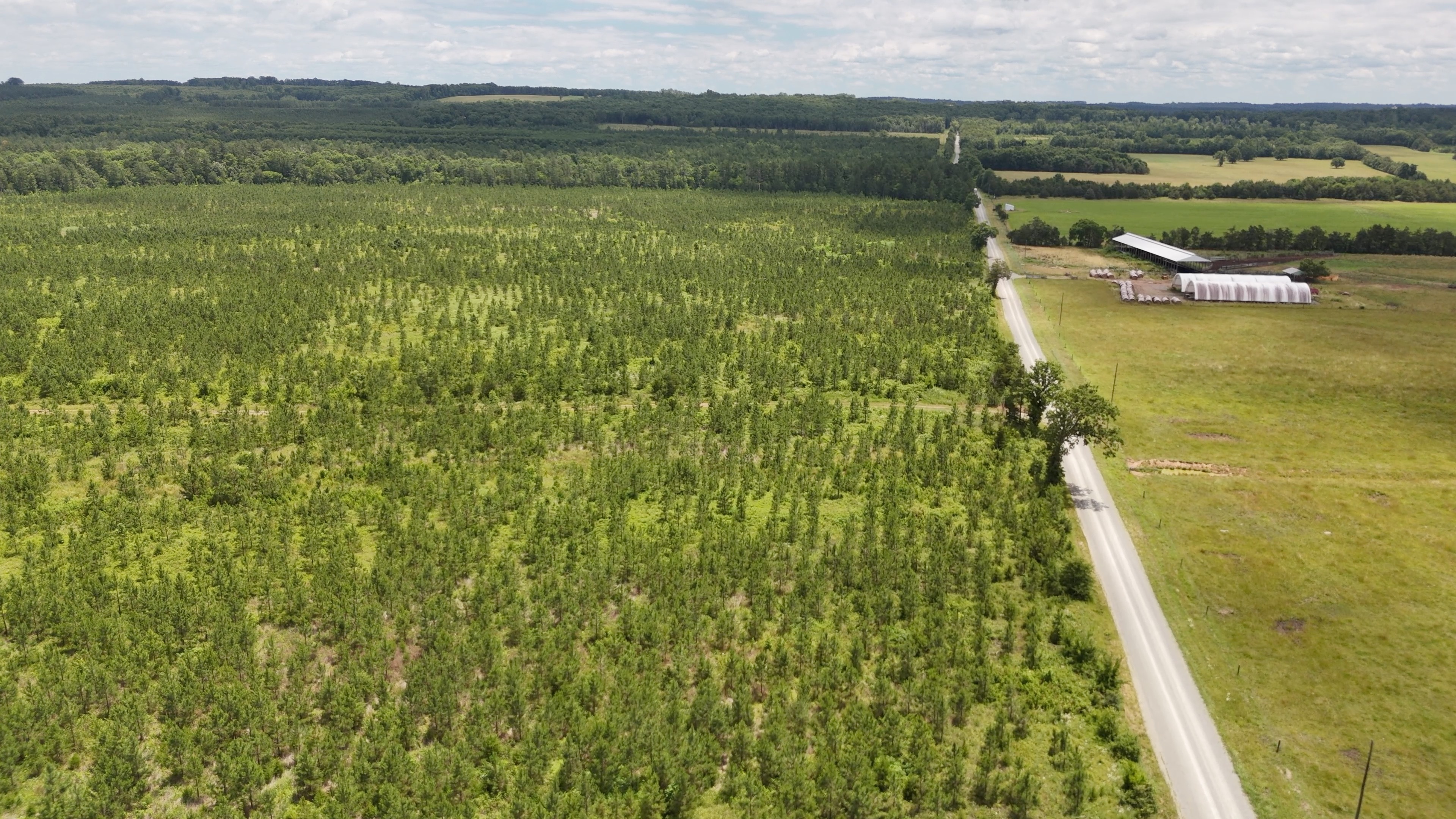 Two Colonies Timberlands