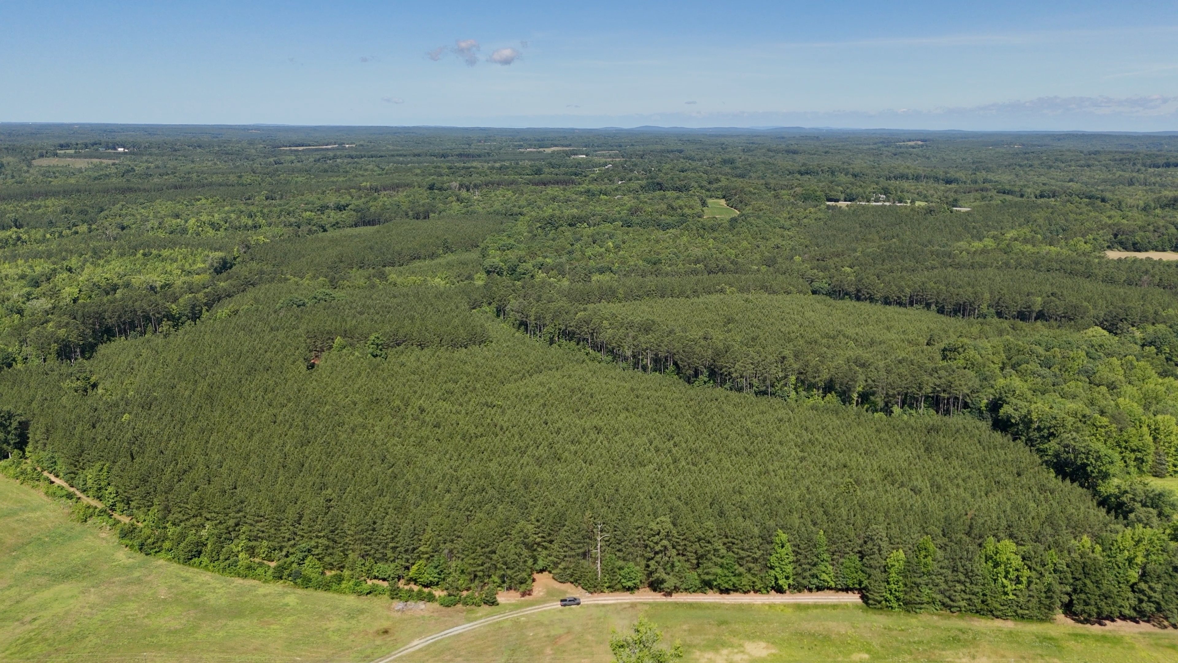 Two Colonies Timberlands