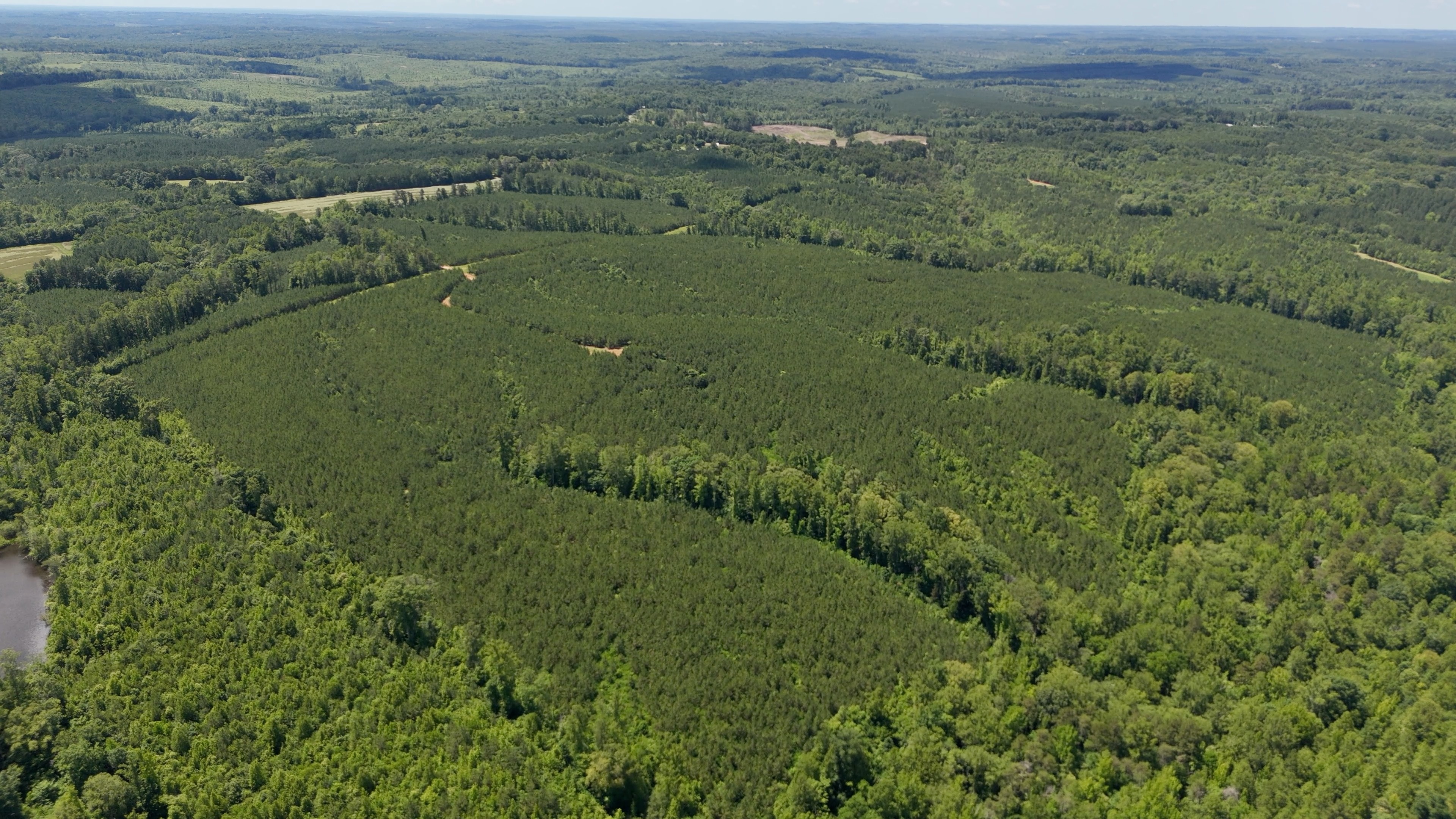 Two Colonies Timberlands