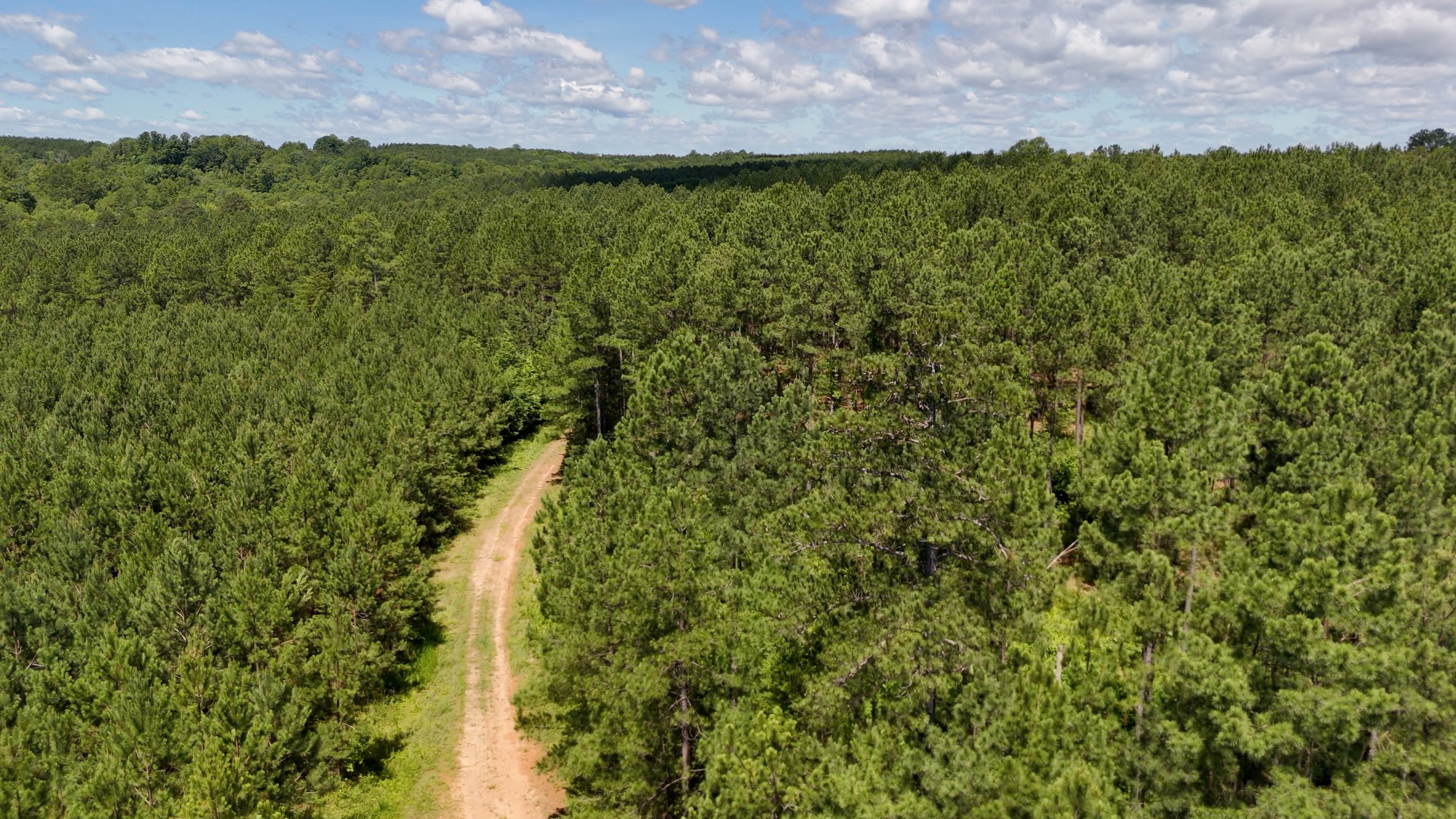 Two Colonies Timberlands