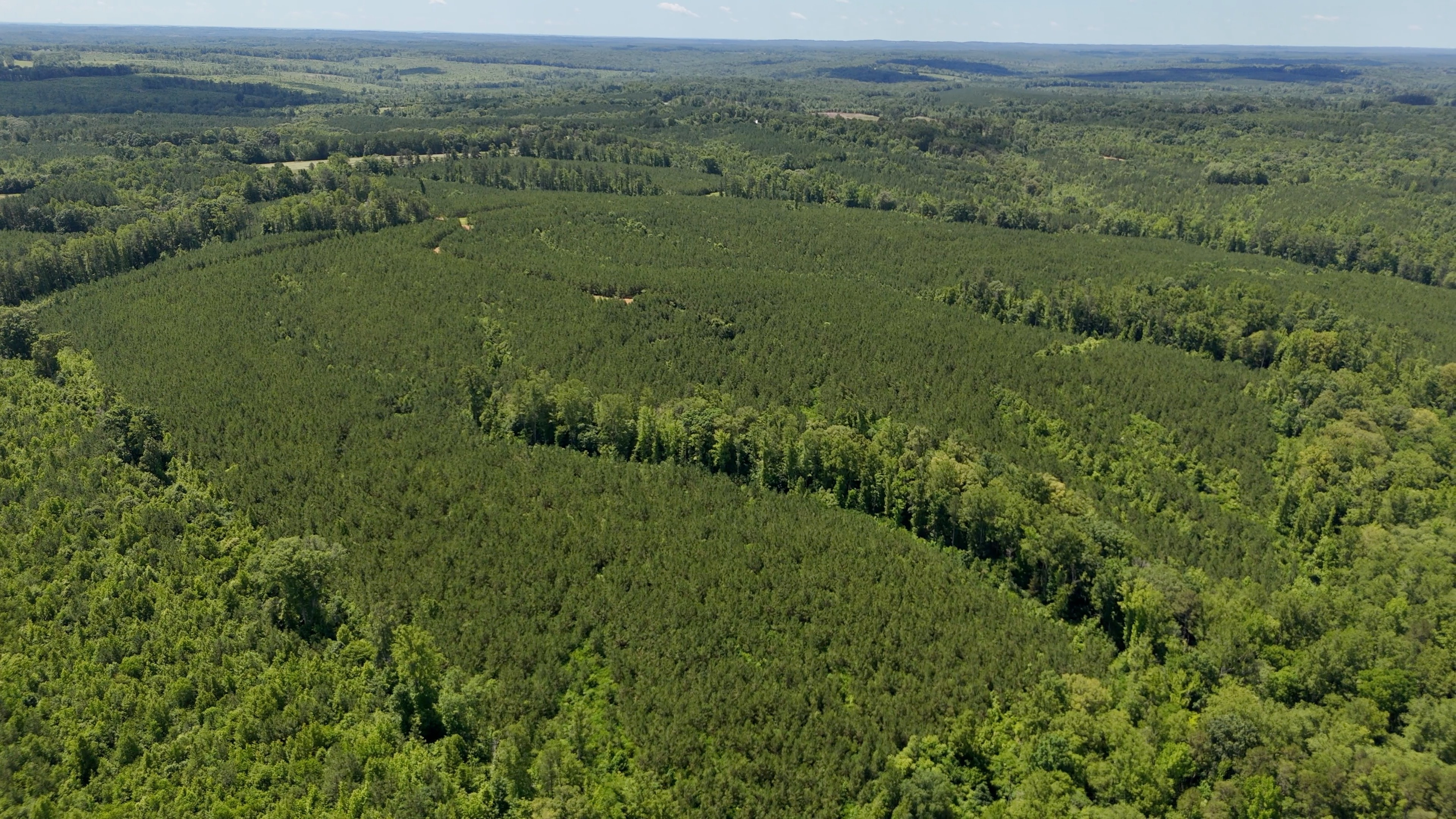 Two Colonies Timberlands
