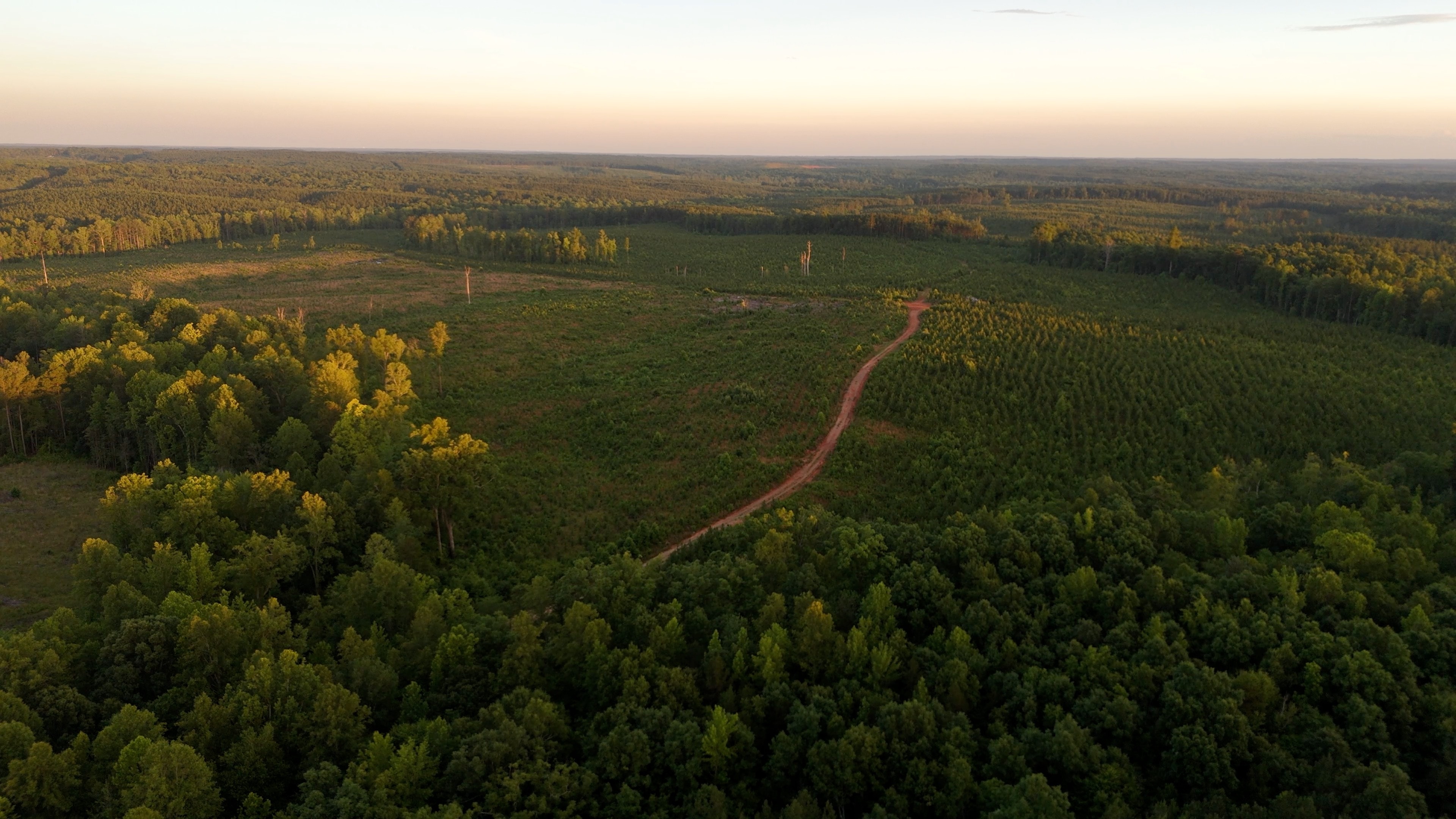 Two Colonies Timberlands
