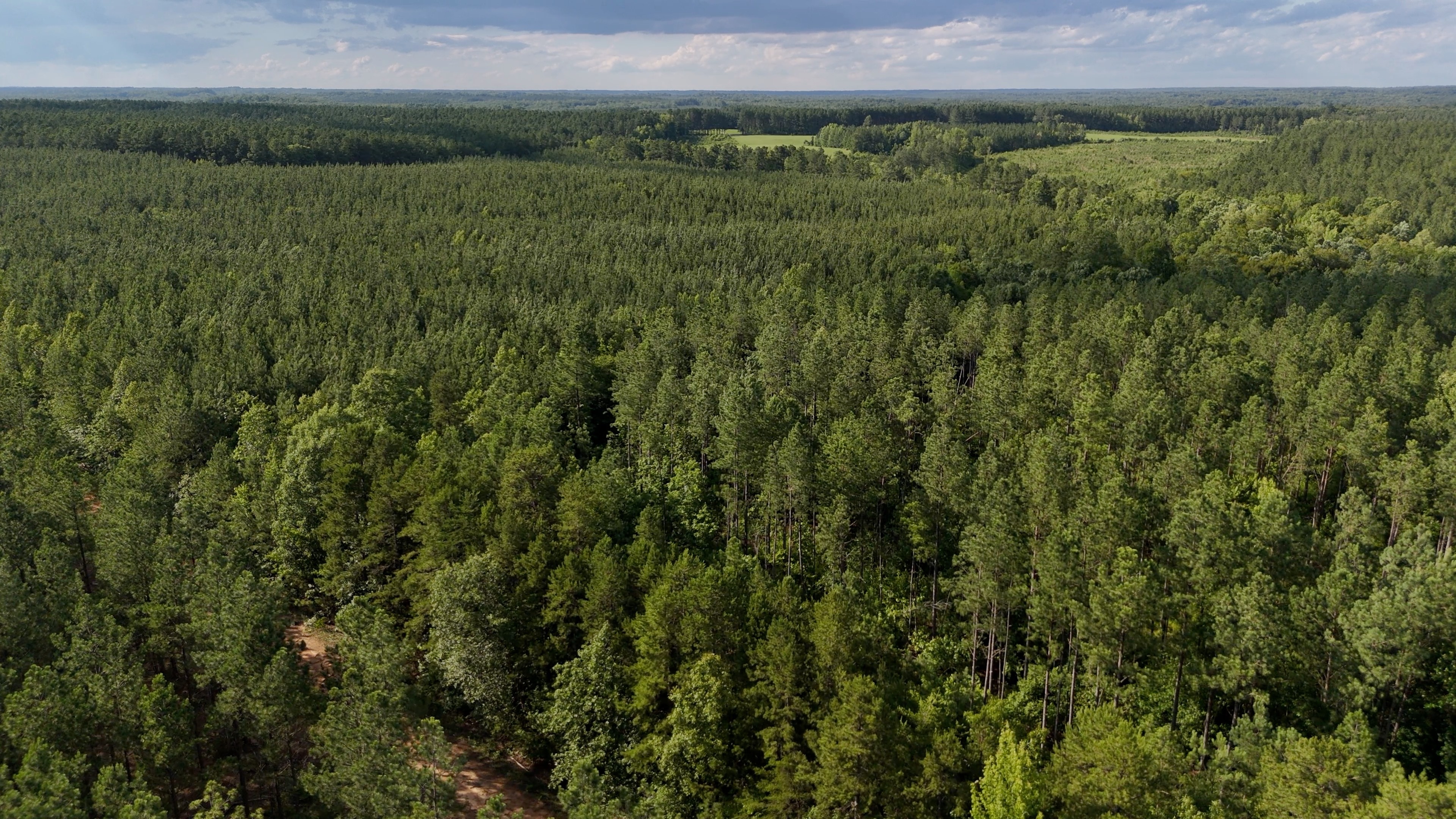 Two Colonies Timberlands
