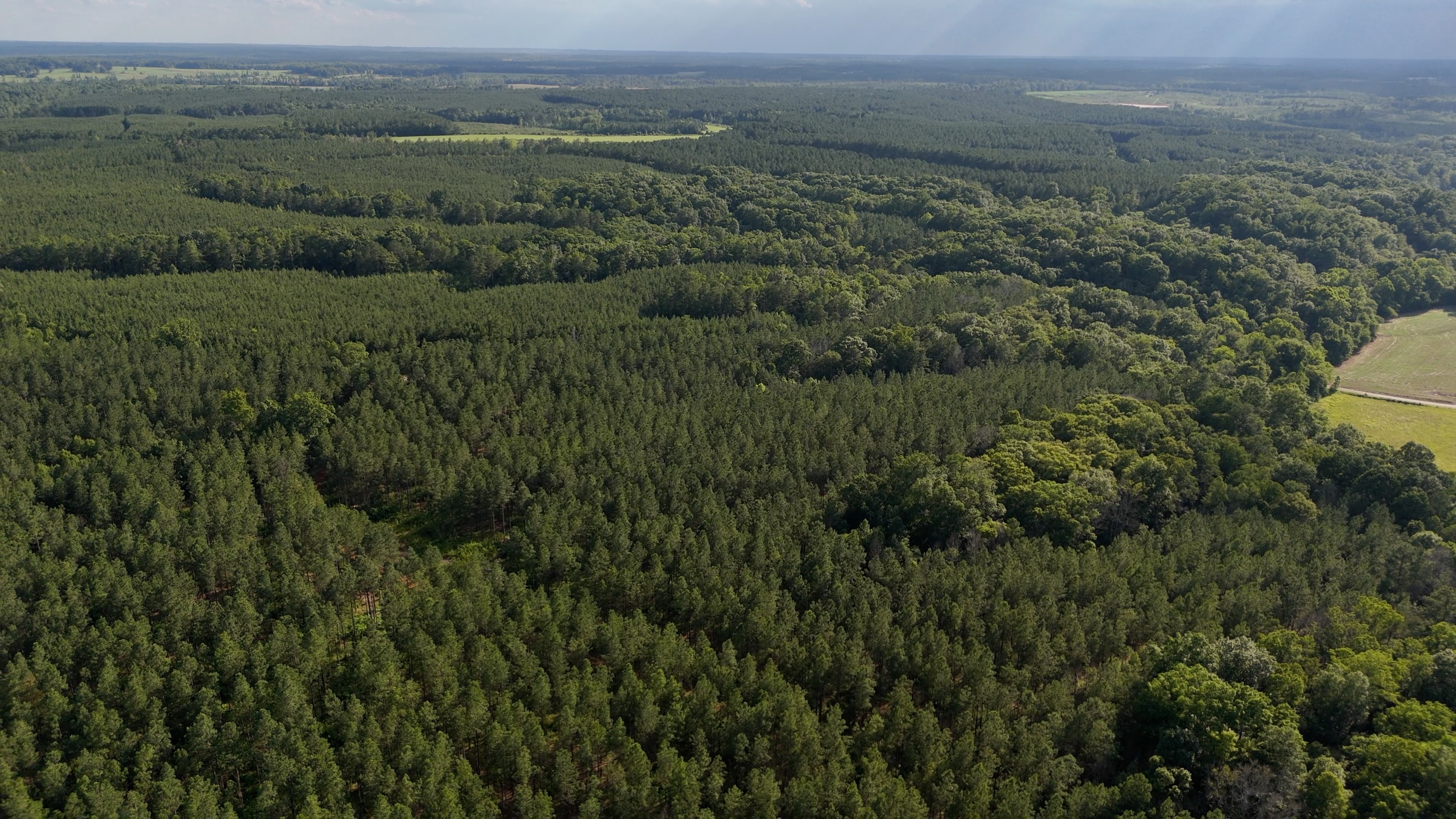 Two Colonies Timberlands