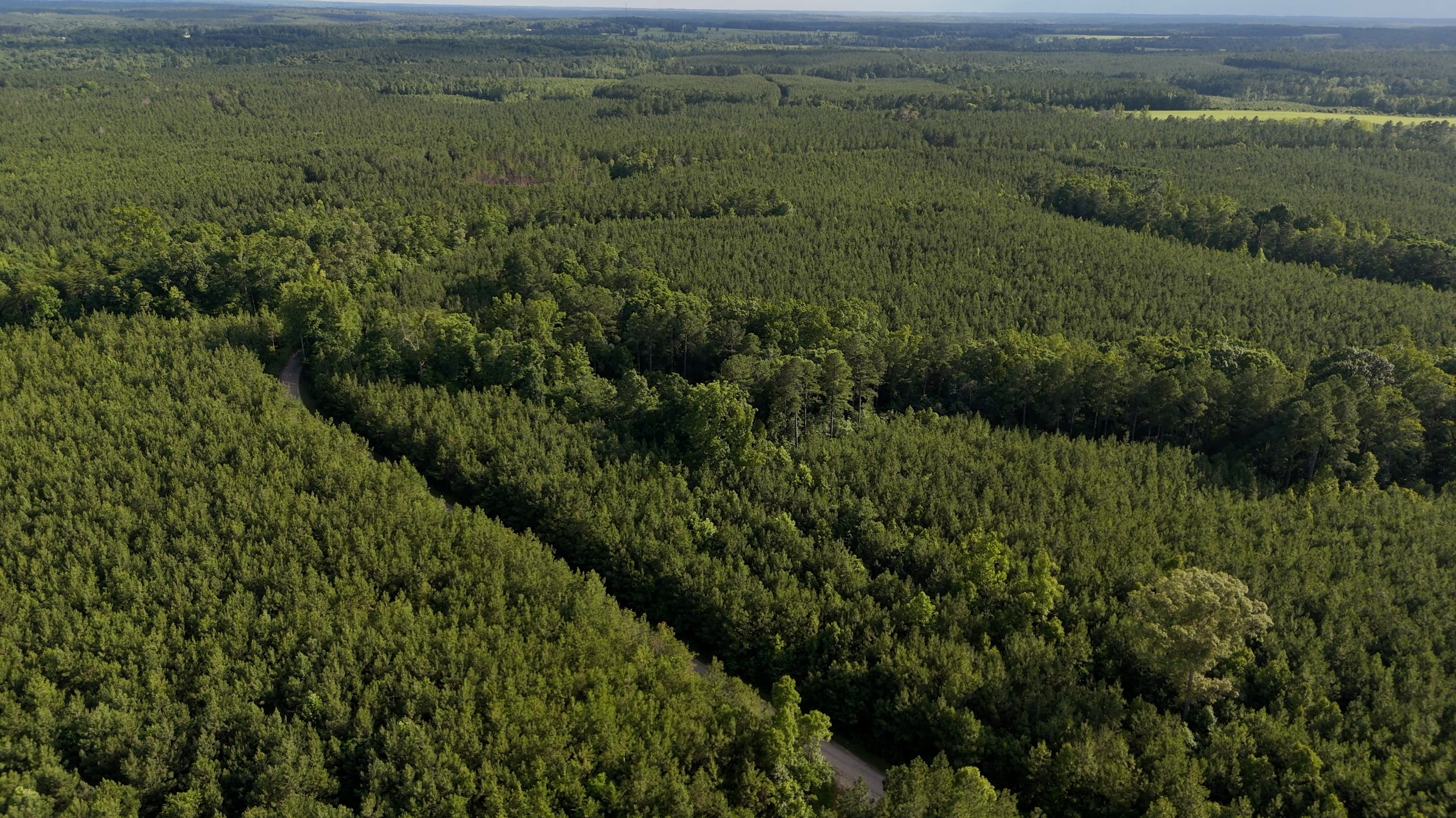 Two Colonies Timberlands