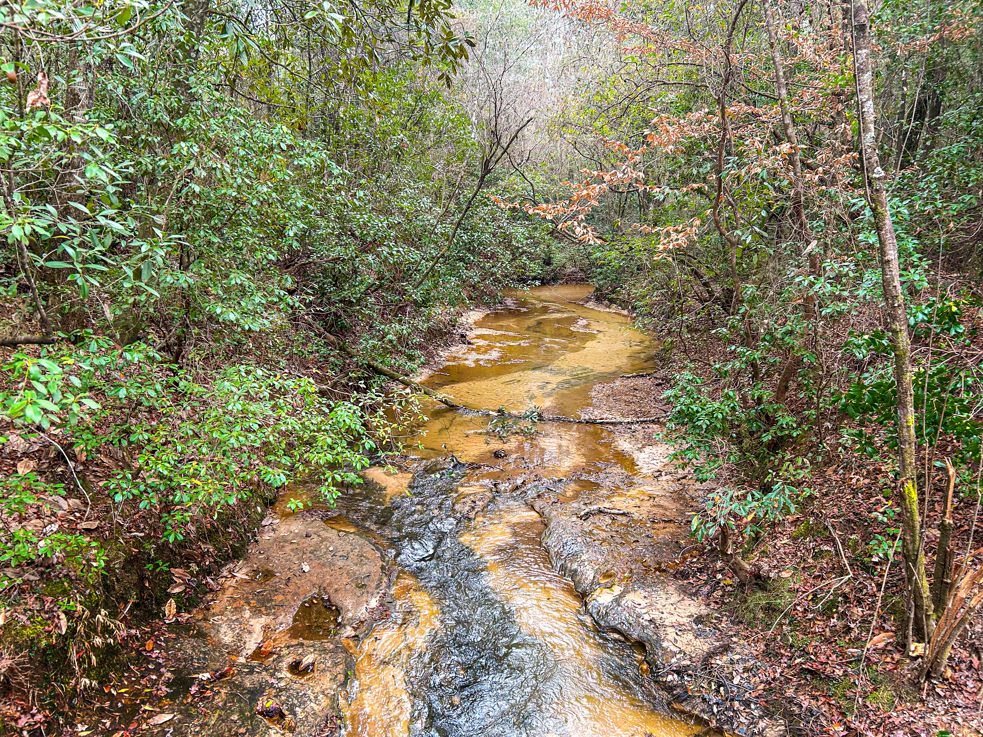 Pine Basin