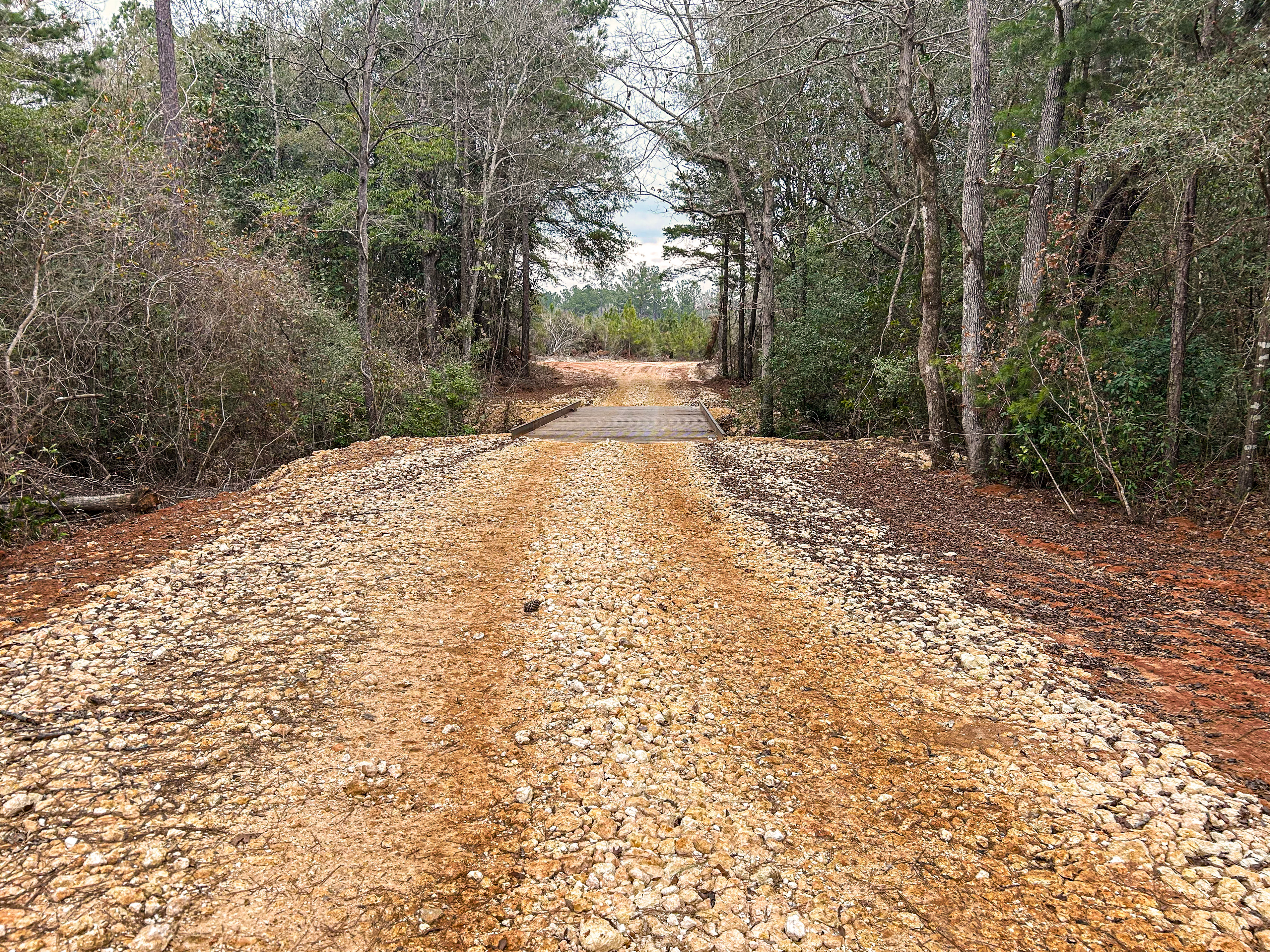 Pine Basin