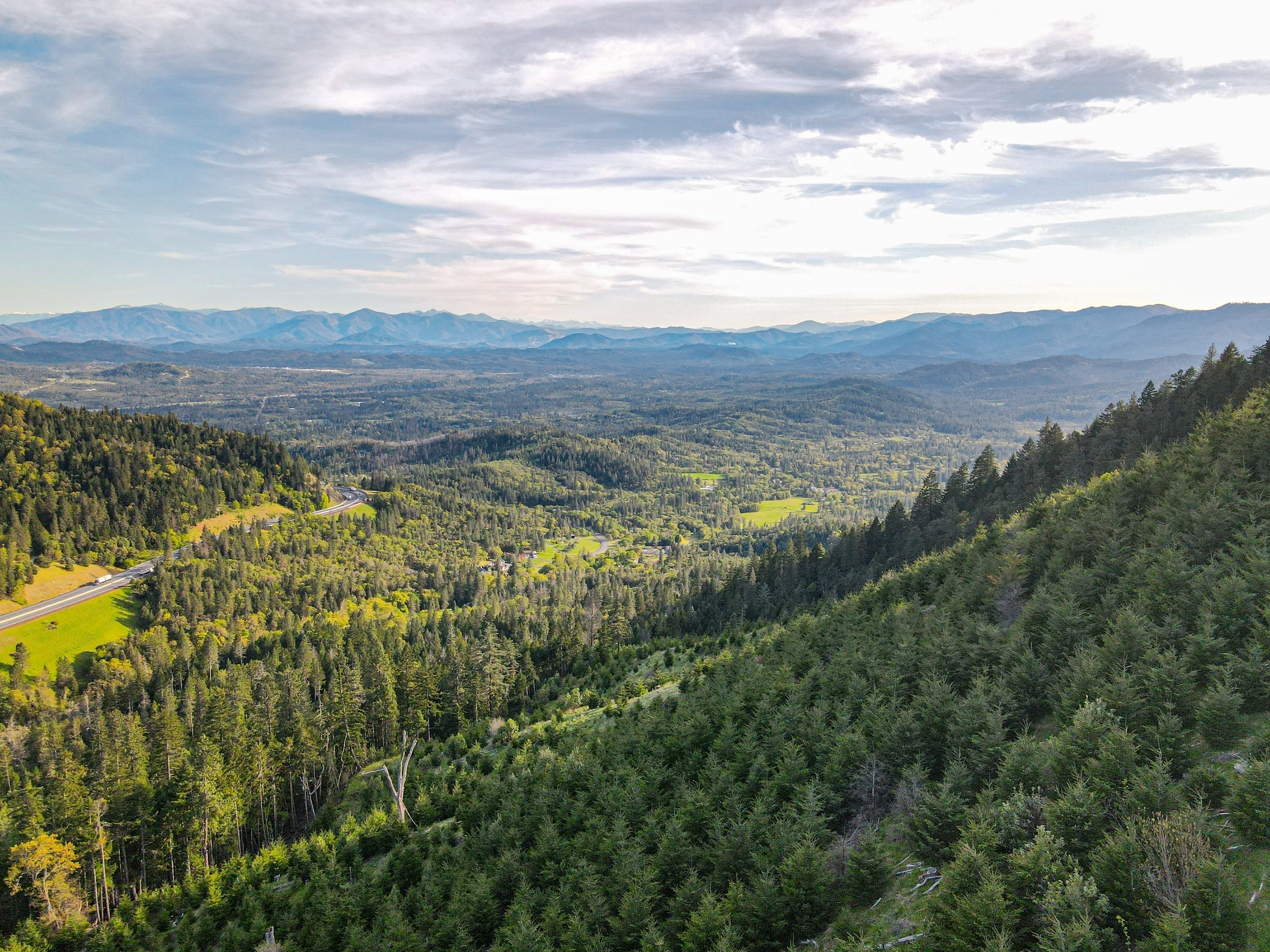 Perpetua Tree Farm