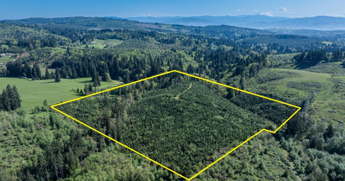 AFM Real Estate | 0 Whitney Rd | AFM Real Estate