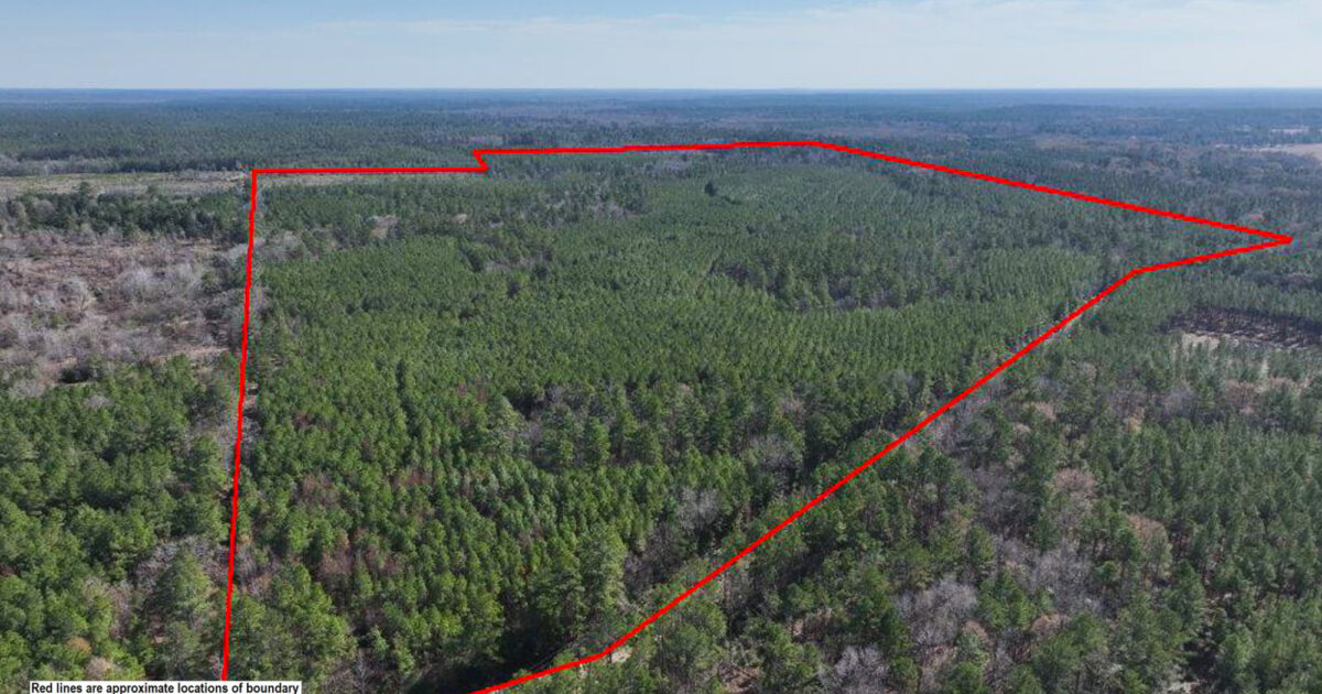 AFM Real Estate | North Cedar Road Tract | AFM Real Estate