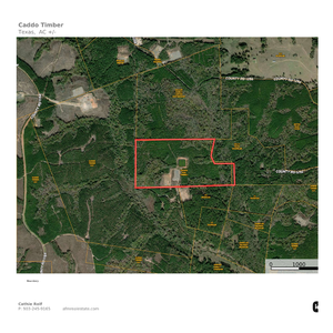 123 93 ac Shelby Co TX thumbnail