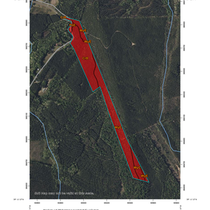 130 20250317 10030010034 32 Septic Tank Absorption Fields thumbnail