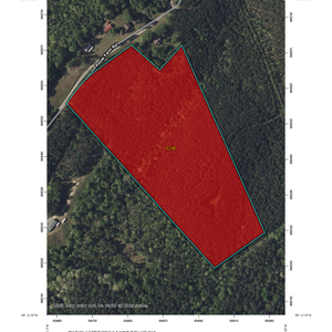 13 20250317 09545409700 53 Septic Tank Absorption Fields thumbnail