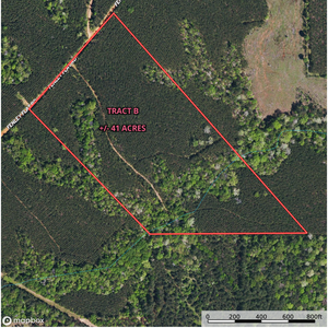 142 Fenley Forest Tract B Aerial thumbnail