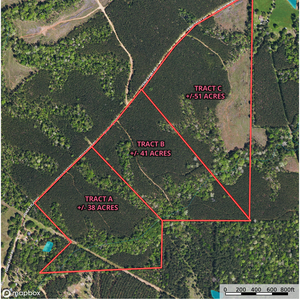 15 Fenley Forest Aerial thumbnail