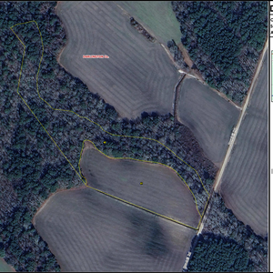 169 DOVETAIL ROAD 4 LAYOUT TL GE IMAGE thumbnail