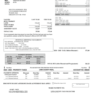 171 Tax Statement thumbnail