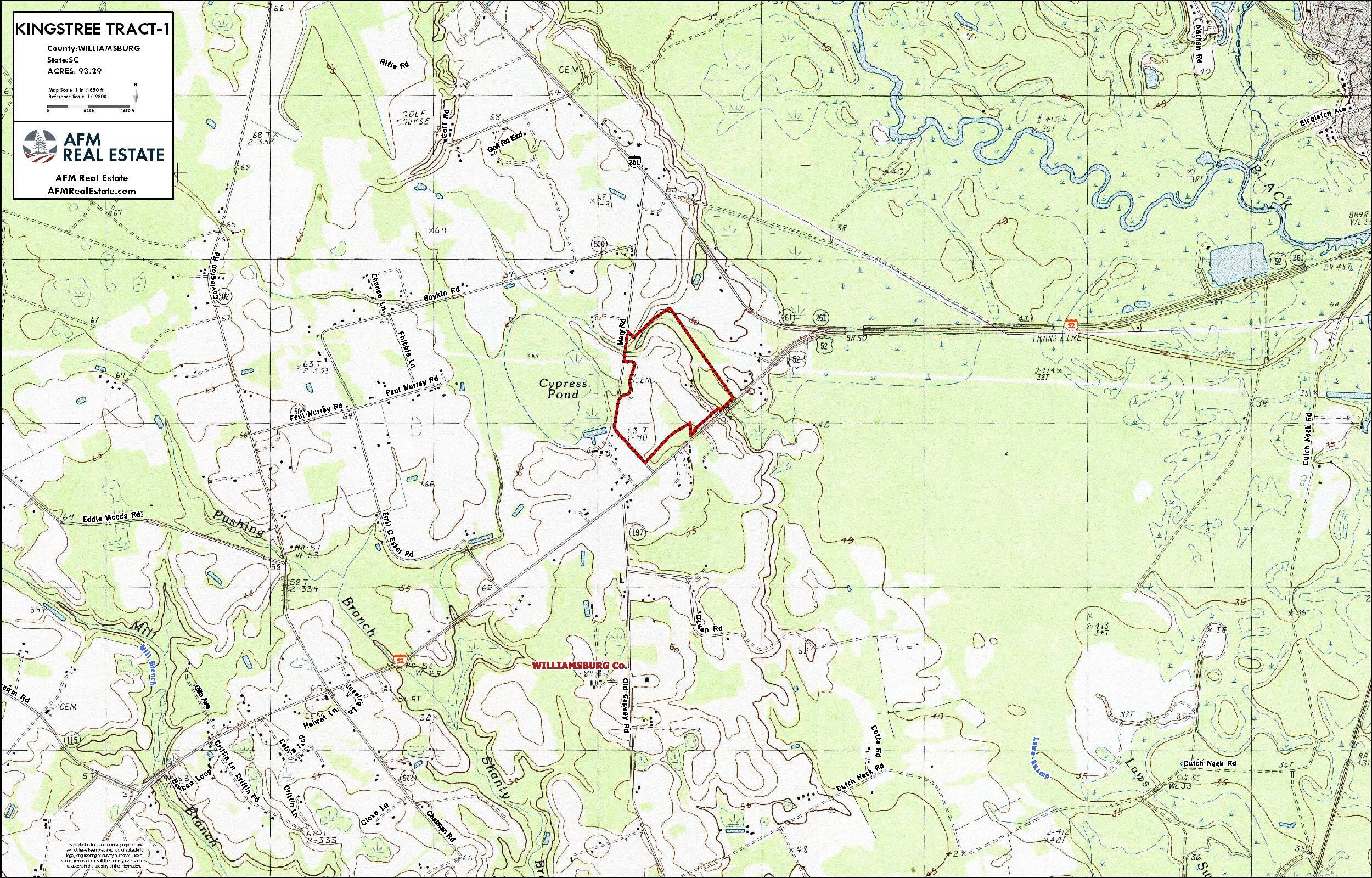 186 KINGSTREE TRACT 1 LAYOUT TL TOPO thumbnail