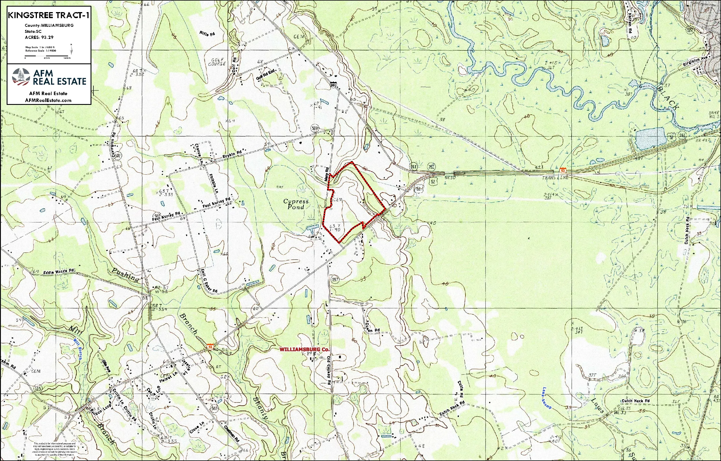 186 KINGSTREE TRACT 1 LAYOUT TL TOPO thumbnail