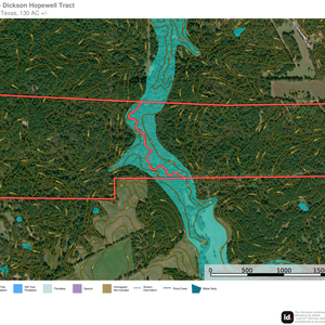 198 Dickson Hopewell FEMA Floodplain Aerial thumbnail