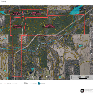 213 Landrum Road Tract Aerial Topo thumbnail