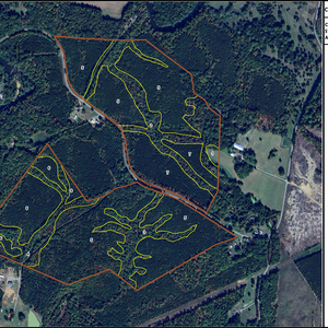 224 CAPLESIE TRACT 2 MCCALL FAMILY LAYOUT TL CAPLESIE WEST thumbnail
