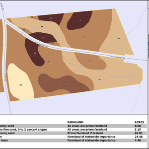 230 HICKORY BRANCH TRACT LAYOUT TL SOIL thumbnail