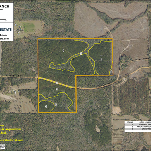 243 COW BRANCH LAYOUT LL IMAGE geoenabled thumbnail